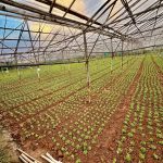  4260m2 - 1