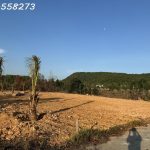  800m2 - 1