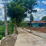  100m2 - 6