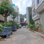  50m2 - 1