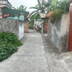  100m2