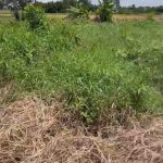  106m2 - 3