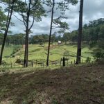  30000m2 - 6