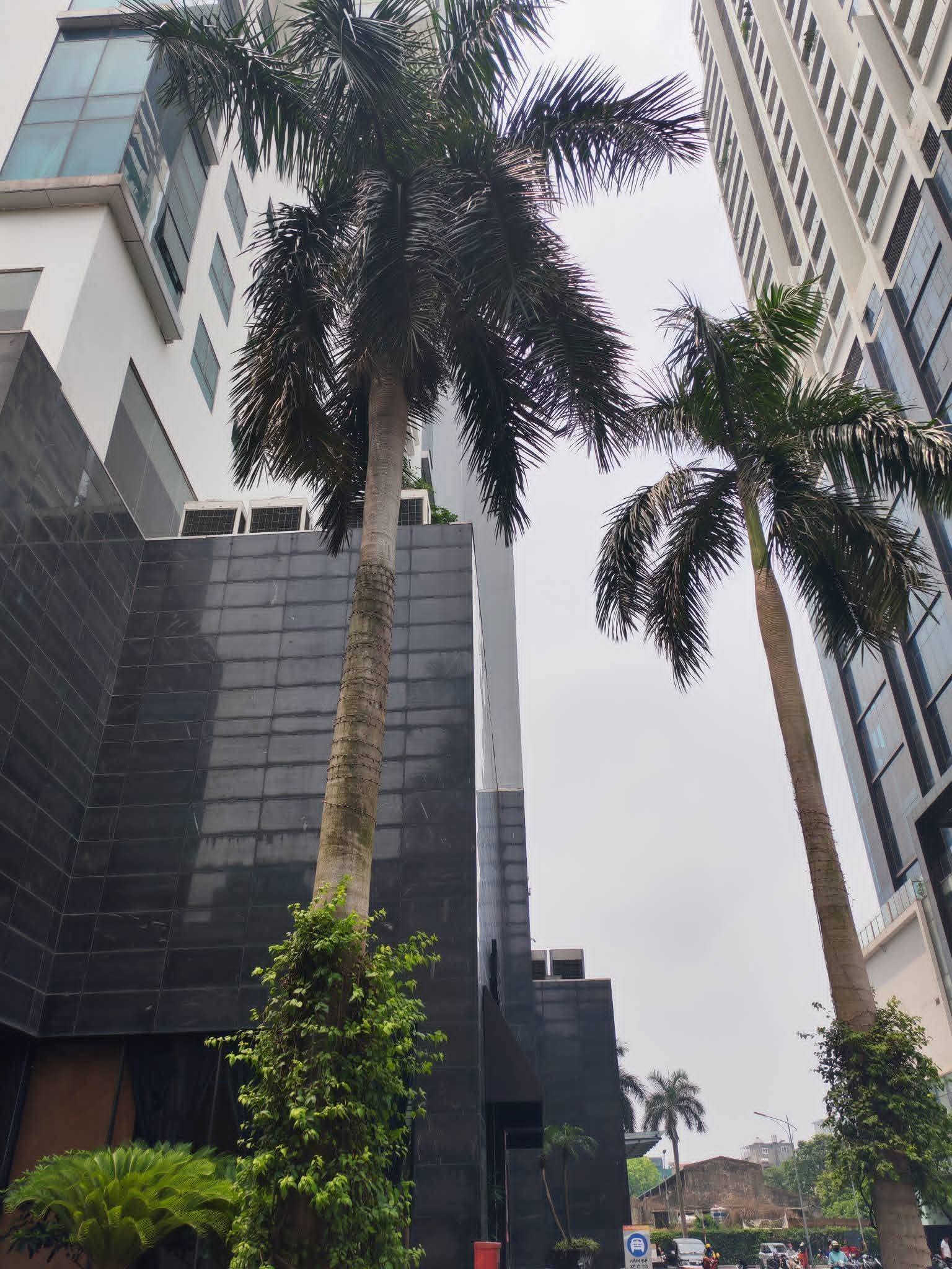 BÁN CĂN CHUNG CƯ TÒA C GODEN - LAND 275 NGUYỄN TRÃI. 112M2 - 3PN - 2VC.