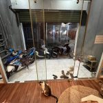  60m2 - 4