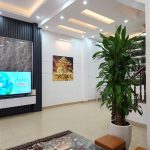  50m2 - 1