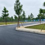  100m2 - 1