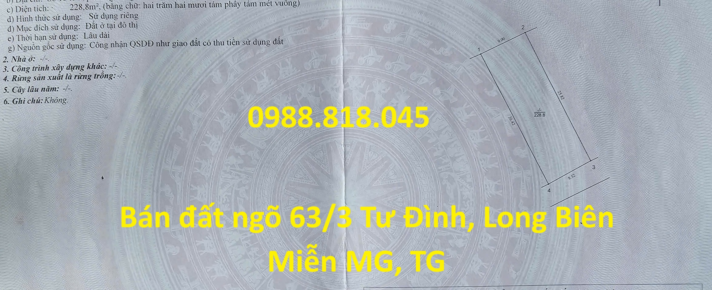Chính chủ bán đất phân lô ngõ 63 Tư Đình, phường Long Biên, thành phố Hà Nội, 229m2, đường ô tô tránh, miễn TG