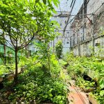  60m2 - 6