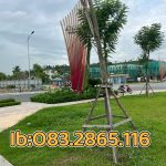  60m2 - 5