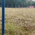  250m2 - 4