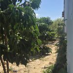  300m2 - 5