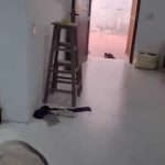  60m2 - 1
