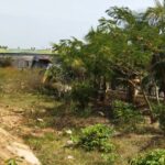  8000m2 - 3
