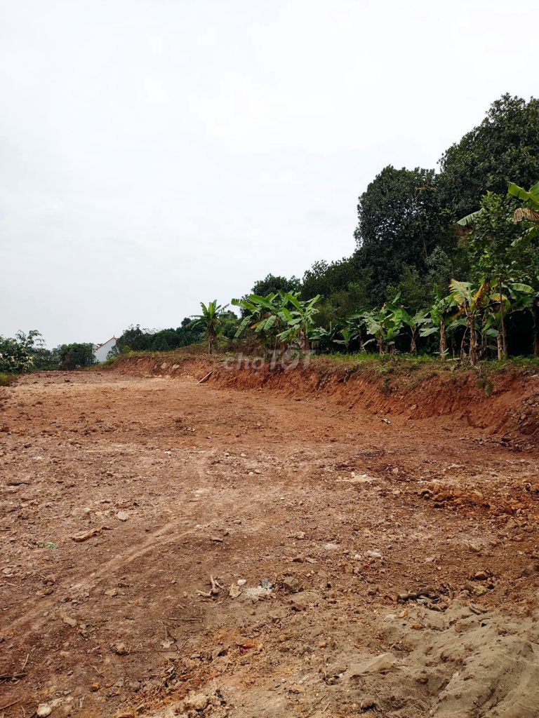 chính chủ bán 2600m2 thổ cư, Huyện Quốc Oai, chỉ 6.5tr/m2,