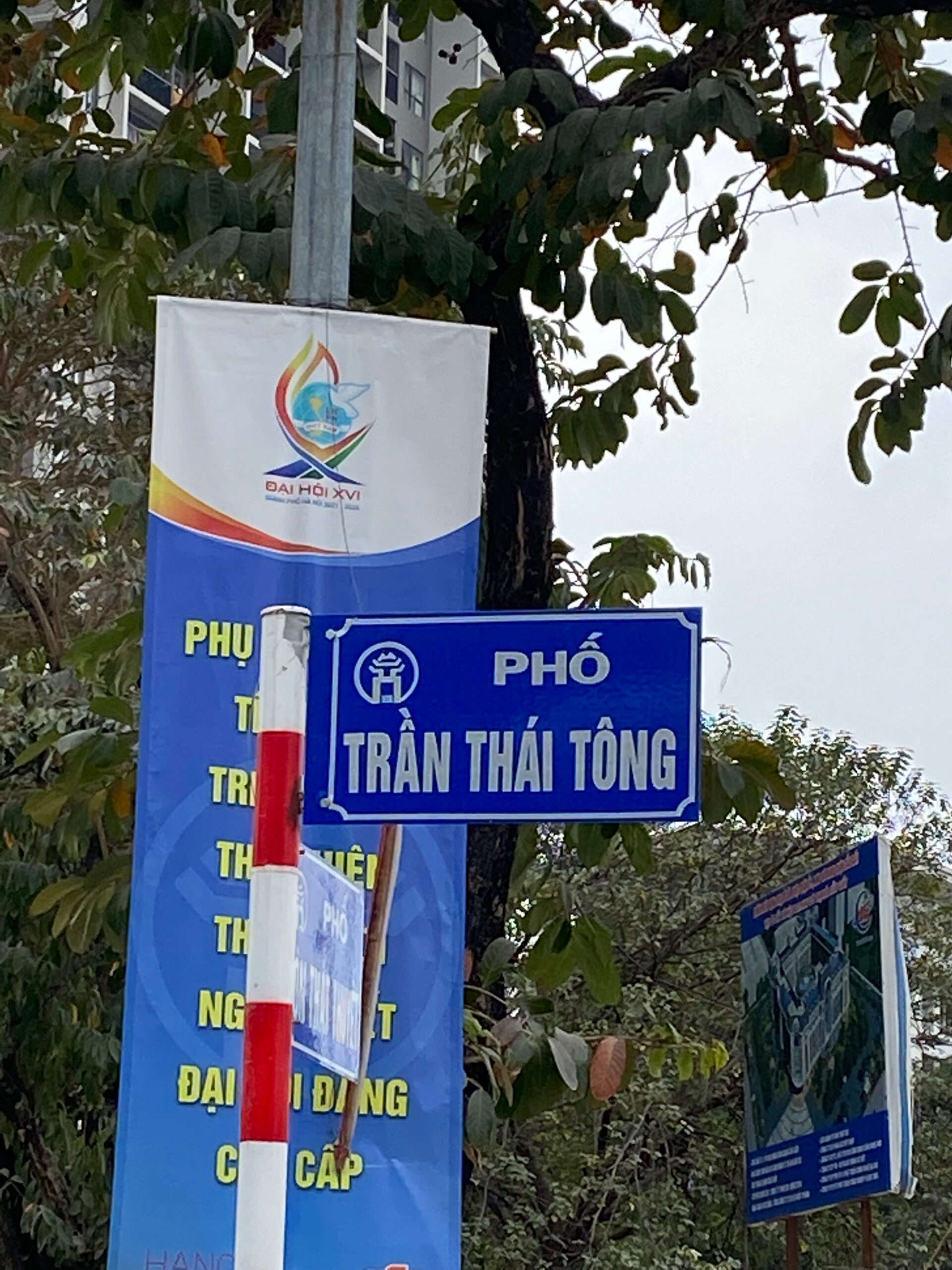 Toà nhà văn phòng phân lô phố Trần Thái Tông - MT 7,5m - DT 130m2 - Cầu Giấy