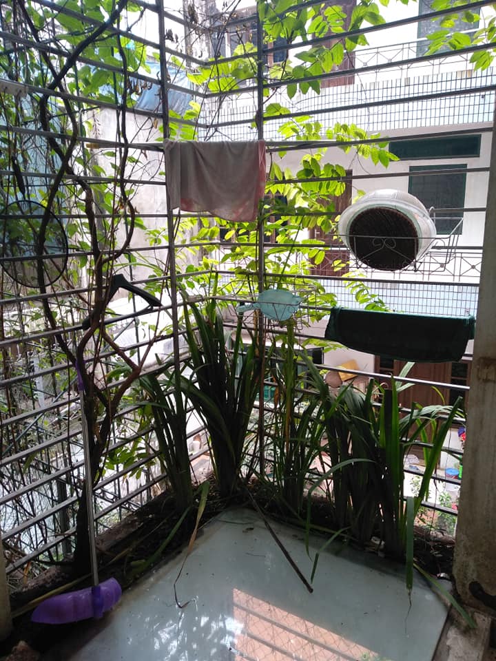 92m2