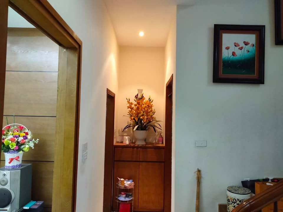 55m2