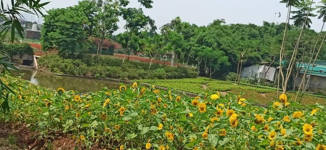 Bán mảnh đất Âu Cơ quận Tây Hồ 400m mặt tiền 15m 62 tỷ hàng hiếm view thung lũng hoa ô tô tránh