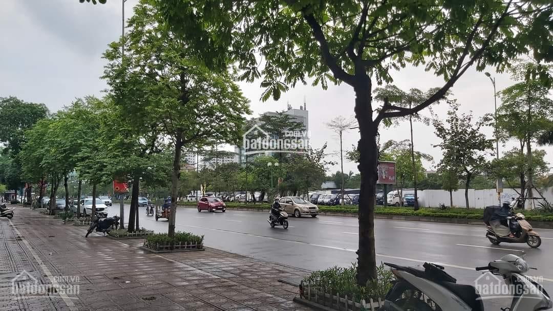 Bán đất MP Kim Quan 122m2 Đất x mặt tiền 5.5m x 12.5 tỷ Long Biên