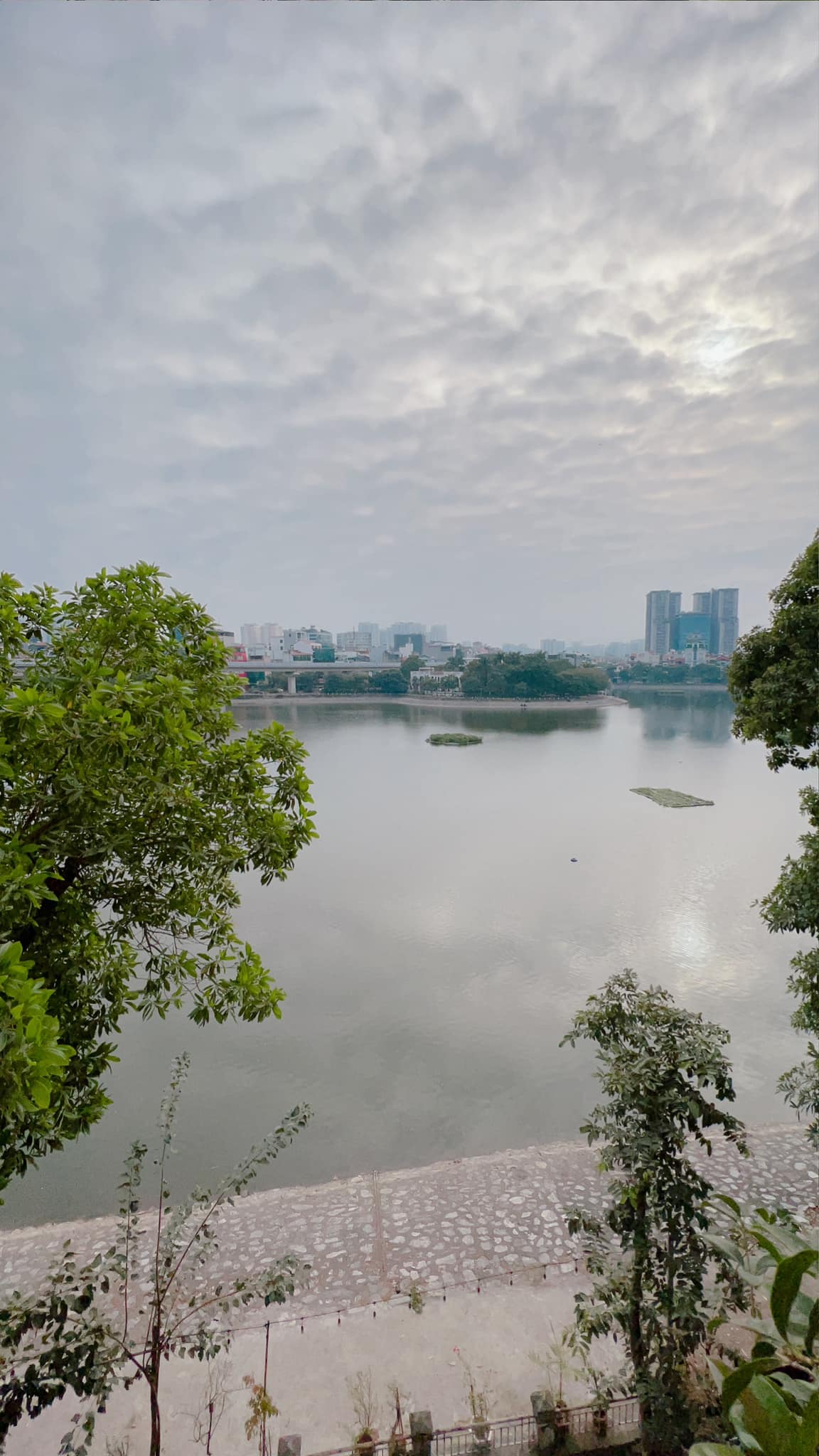 Lạc Long Quân Ô Tô Tránh - 150 M2 - 5 Tầng - MT 9M - Giá - 24.8 Tỷ. Vị tri.