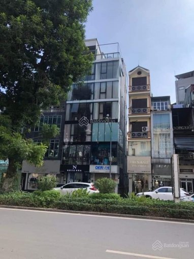 Bán gấp nhà mặt phố Kim Mã vị trí đỉnh cao, 40m2 x 7 tầng, thang máy, thông sàn, mới đẹp, 19 tỷ TL