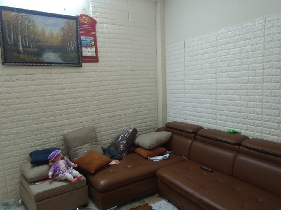 55m2