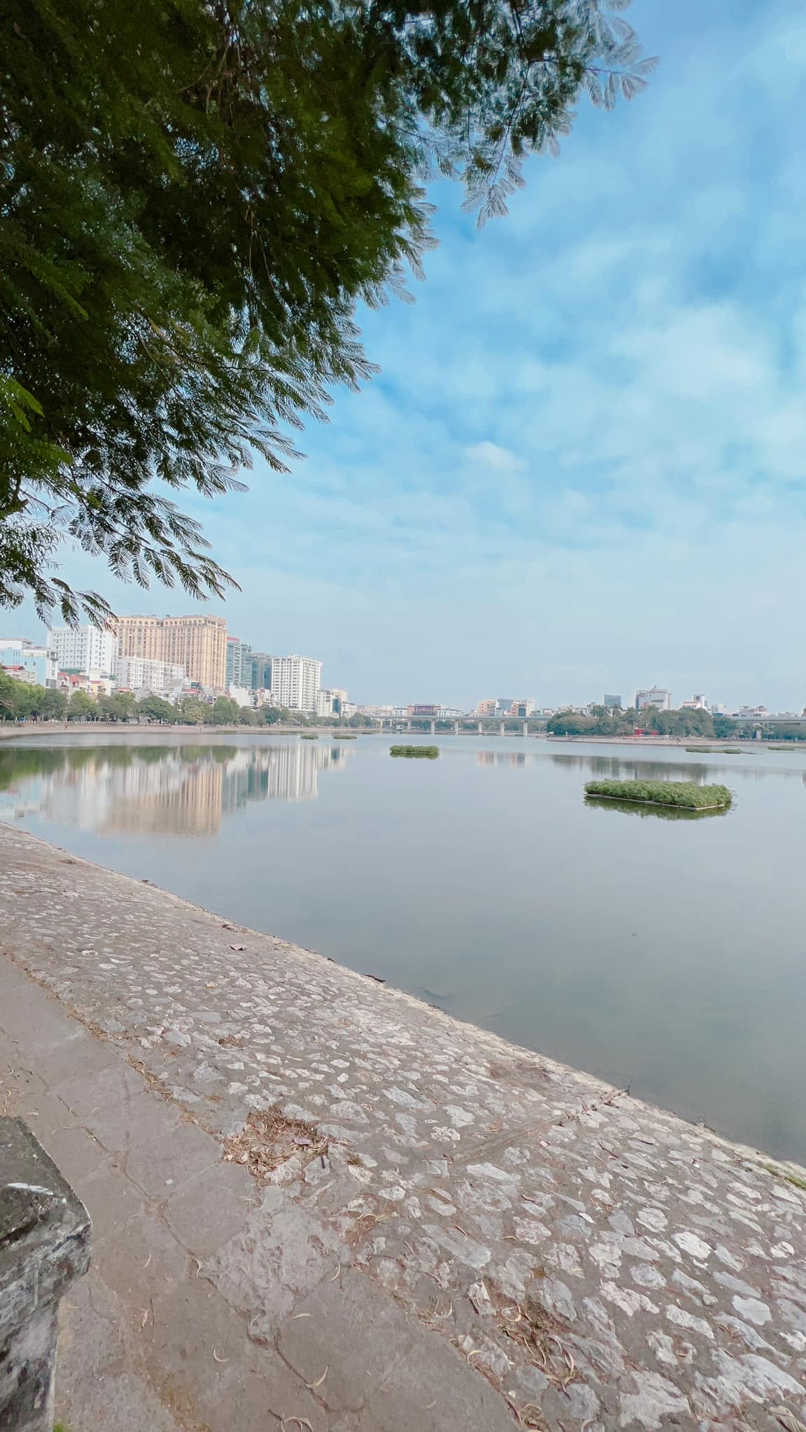 BÁN NHÀ MẶT PHỐ MAI ANH TUẤN - ĐỐNG ĐA - LÔ GÓC VIEW HỒ - DIỆN TÍCH 46M2 - 6 TẦNG - MẶT TIỀN 6.3M - 15 TỶ.