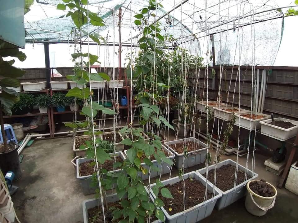 Bán toà nhà 10 tầng đẹp nhất Trần Duy Hưng, MT 15m,, 300m2*10 tầng+1 H
