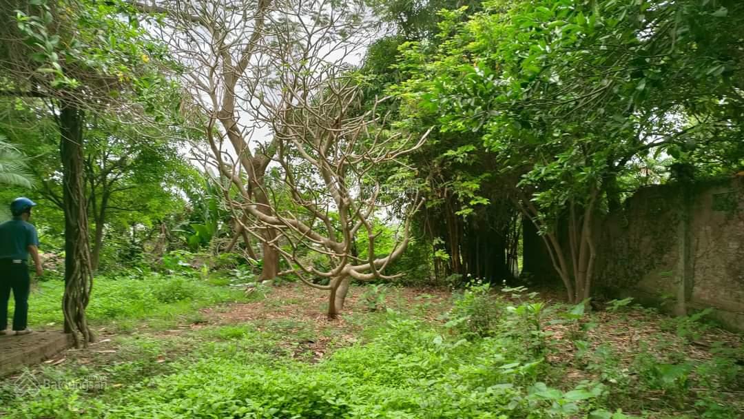 Chỉ 18tr/m2 đất tại Bắc Cầu, Long Biên, mặt tiền 10m vị trí đẹp kinh doanh tốt