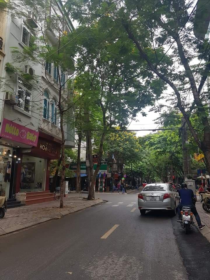 42m2