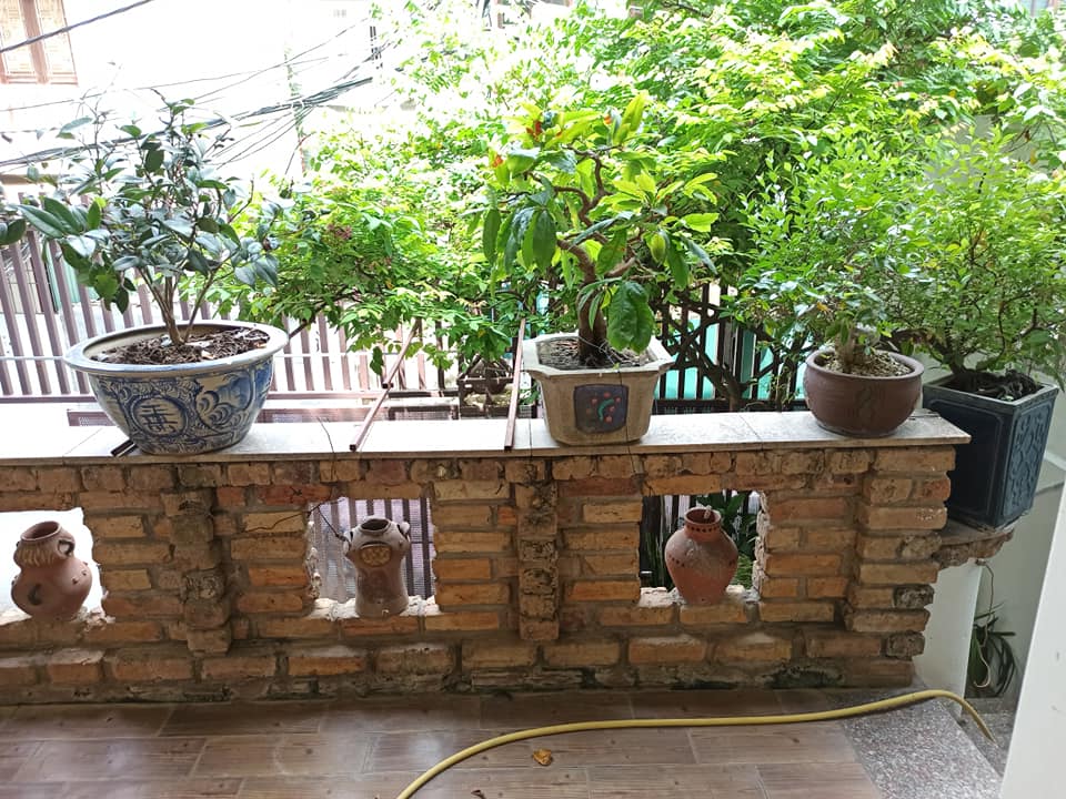58m2