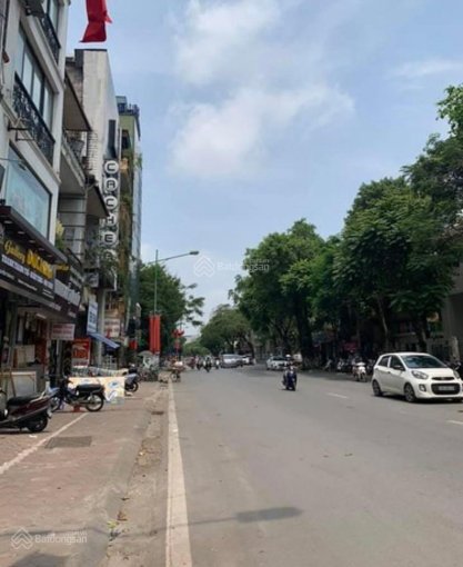 1 nhà ra mặt phố Cầu Giấy, Kinh doanh, Gara OTO, dt 50m2, mt 6m, giá 10.3ty