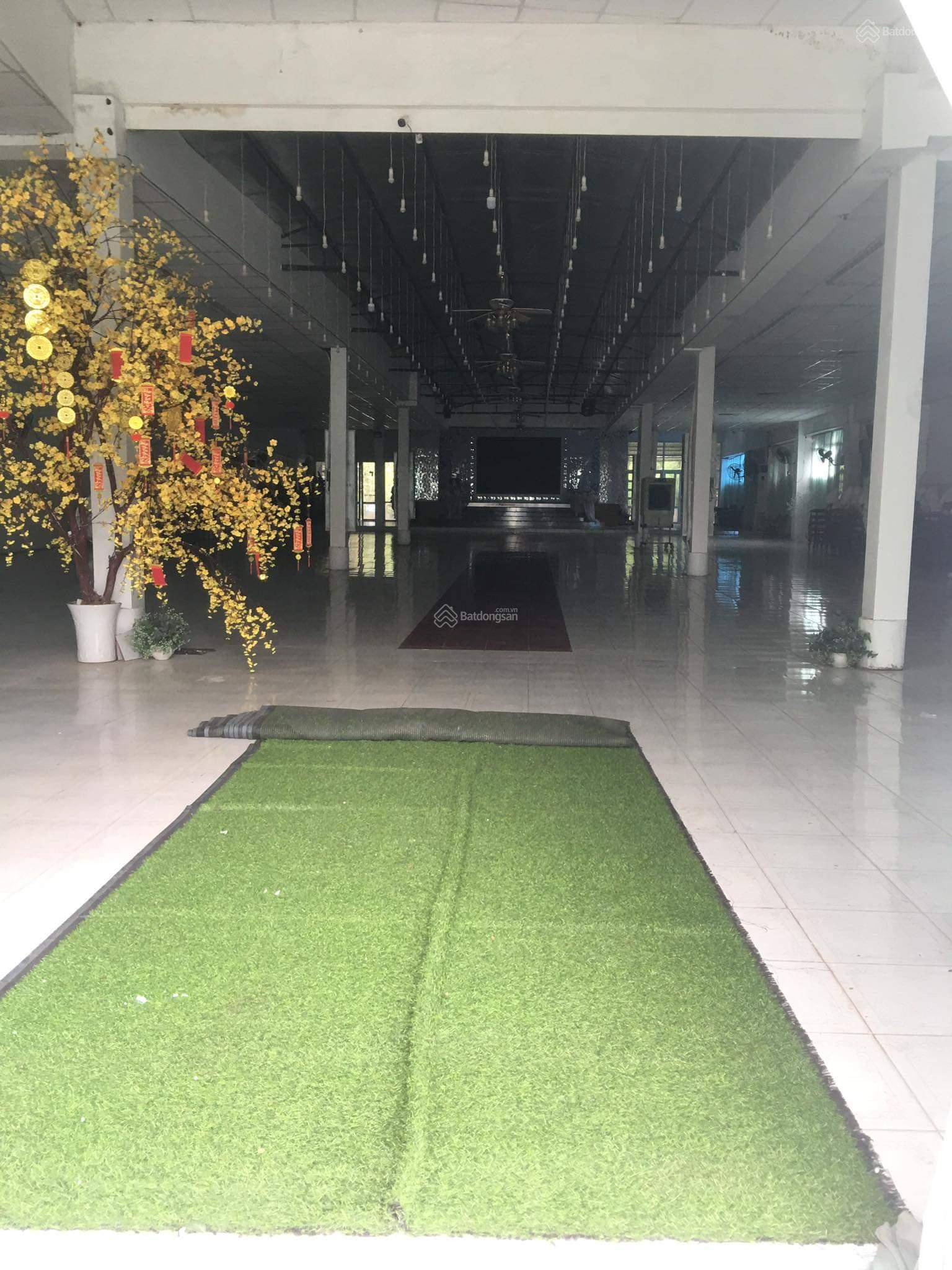 200m2