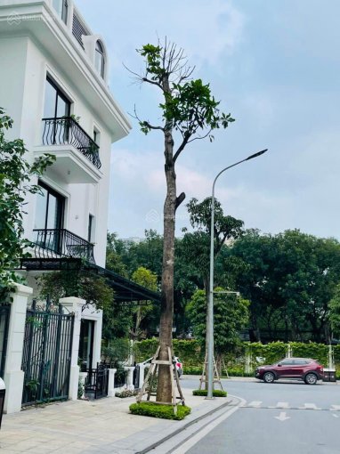 Bán gấp biệt thự KĐT mới Trung Hòa, phố Hoàng Đạo Thúy, 150m2, MT 9m, 5 tầng, giá 42 tỷ