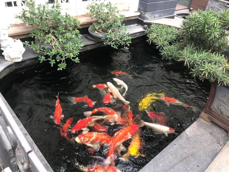 BÁN GẤP NHÀ 89M- 3 TẦNG MẶT PHỐ NGŨ XÃ- BA ĐÌNH- 1 MẶT PHỐ 1 MẶT NGÕ- SÁT HỒ TRÚC BẠCH-