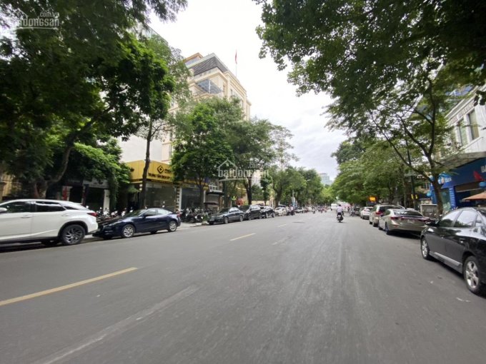 Siêu hiếm - bán toà nhà mặt phố Trần Hưng Đạo, Hoàn Kiếm, 480m2, 495 tỷ, dòng tiền siêu khủng
