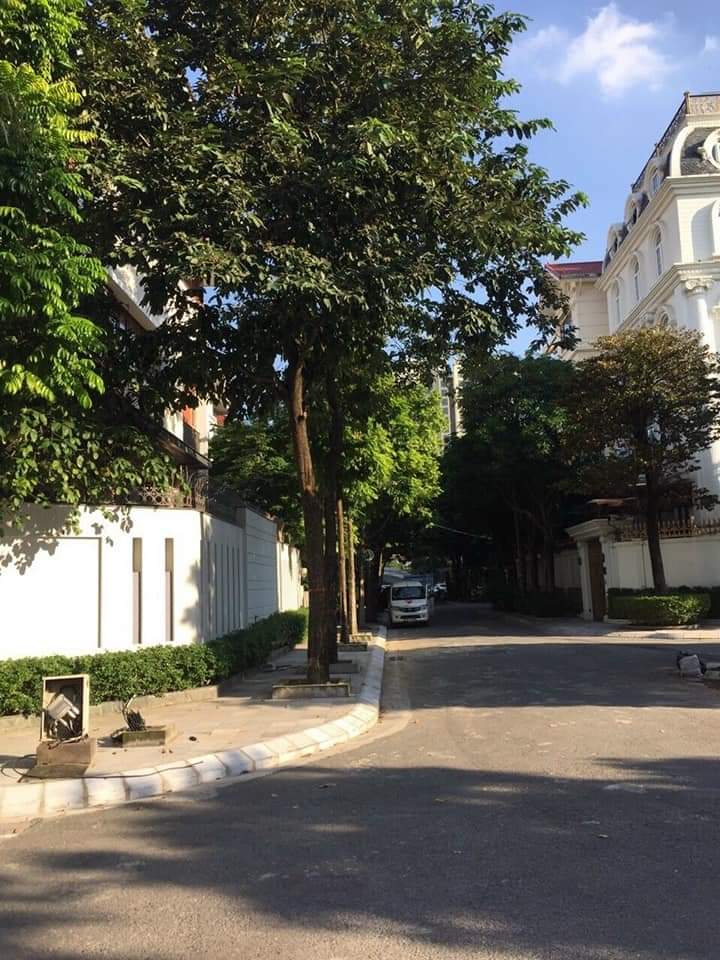 Chính Chủ Gửi Bán Biệt Thự Sân Vườn 300m² 3,5 Tầng, Khu Nhà Ở Yên Hòa, Cầu Giấy, Giá 90 tỷ