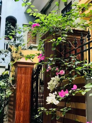 Bán nhà mặt tiền Trần Quý Khoách phường Tân Định quận 1. DT 4x22m (4 lầu) Giá chỉ 25 tỷ