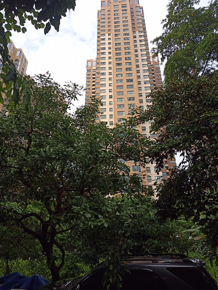 BÁN NHÀ NAM LA KHÊ HÀ ĐÔNG - PHÂN LÔ- BIỆT THỰ - PHÂN LÔ DIỆN TÍCH KHỦNG 130M2 GIÁ CHỈ 15 TỶ