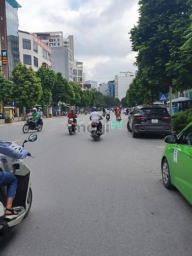 Tôi cần bán Mặt phố Khúc Thừa Dụ giá 82 tỷ, 120mx8T, Kinh doanh tốt