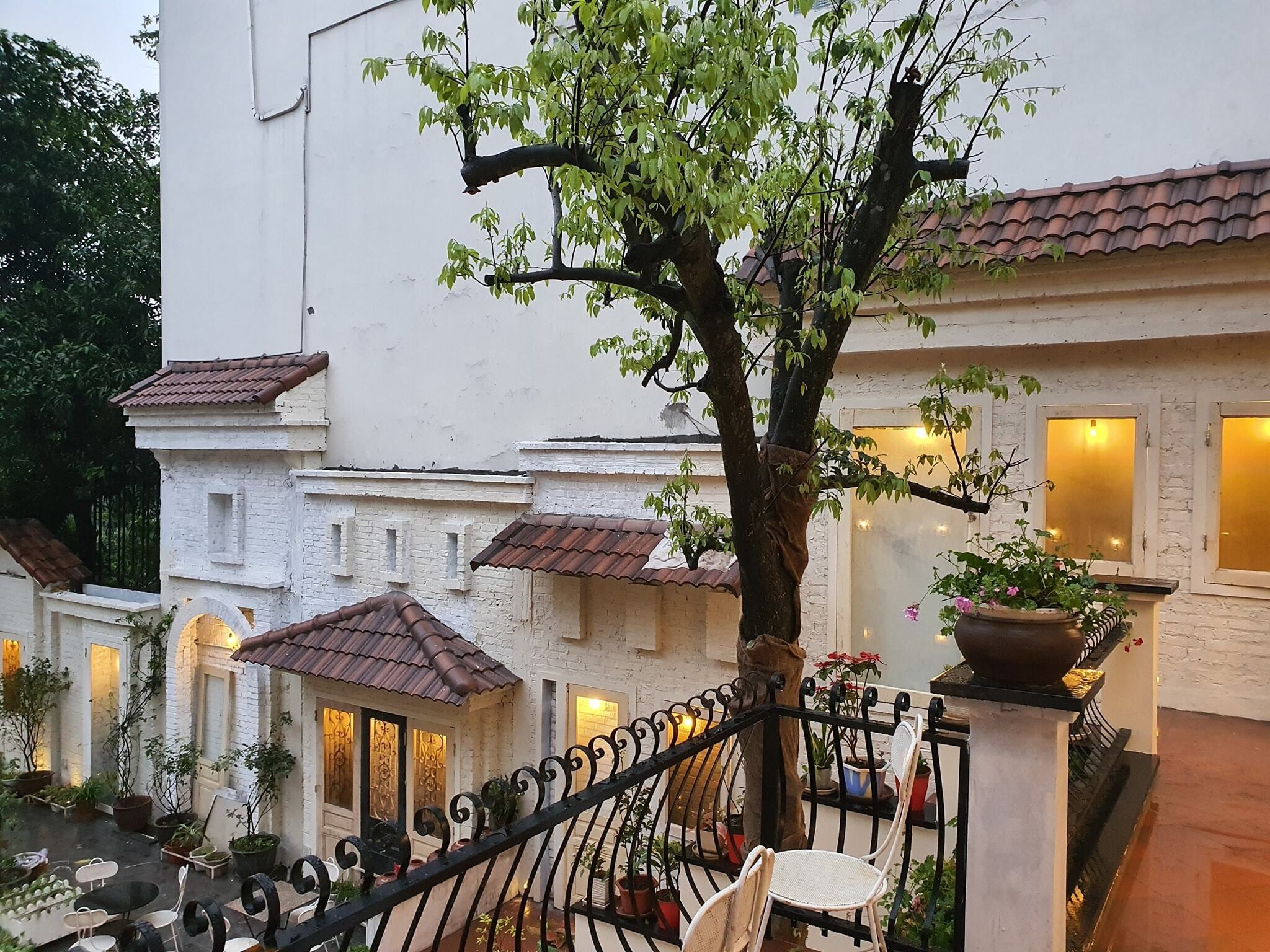 54m2