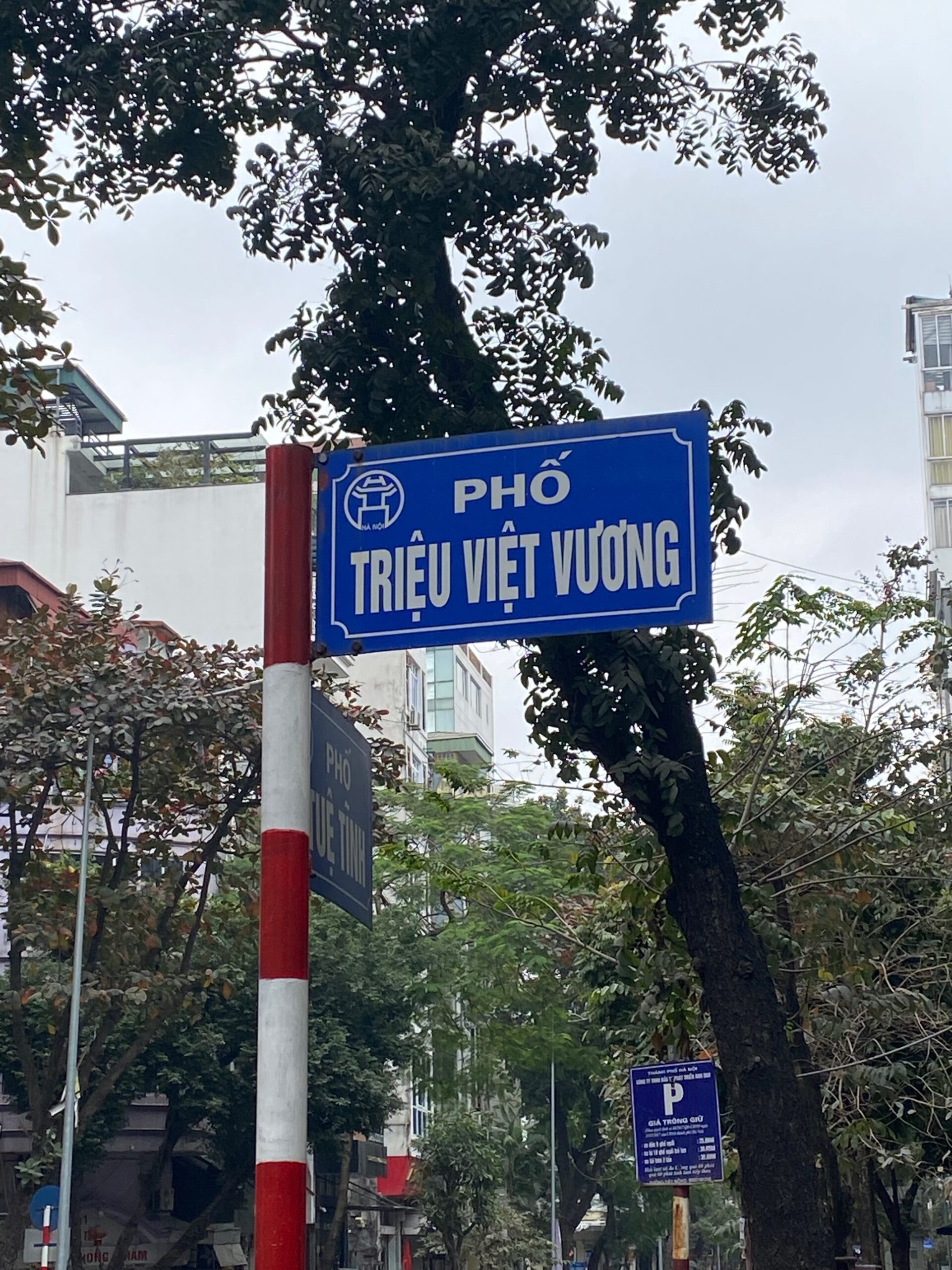 Mặt phố Triệu Việt Vương - MT 6,5m - DT 140m2 - Hai Bà Trưng