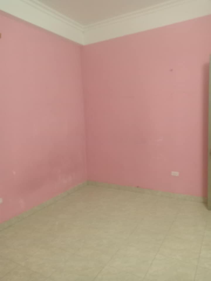  55m2