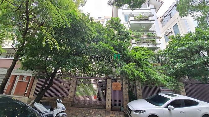 Cực Hiếm, Bán BT Nguyễn Thị Định Cầu Giấy, 240m2, MT 16m, nhỉnh 60 tỷ.