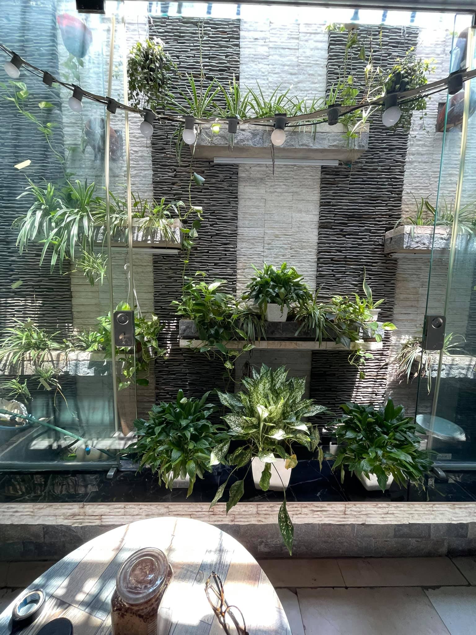 Biệt Thự Vĩnh Phúc, Ba Đình, 120m2, mặt tiền 8m, vỉa hè, ô tô, ở sướng 20 tỷ.