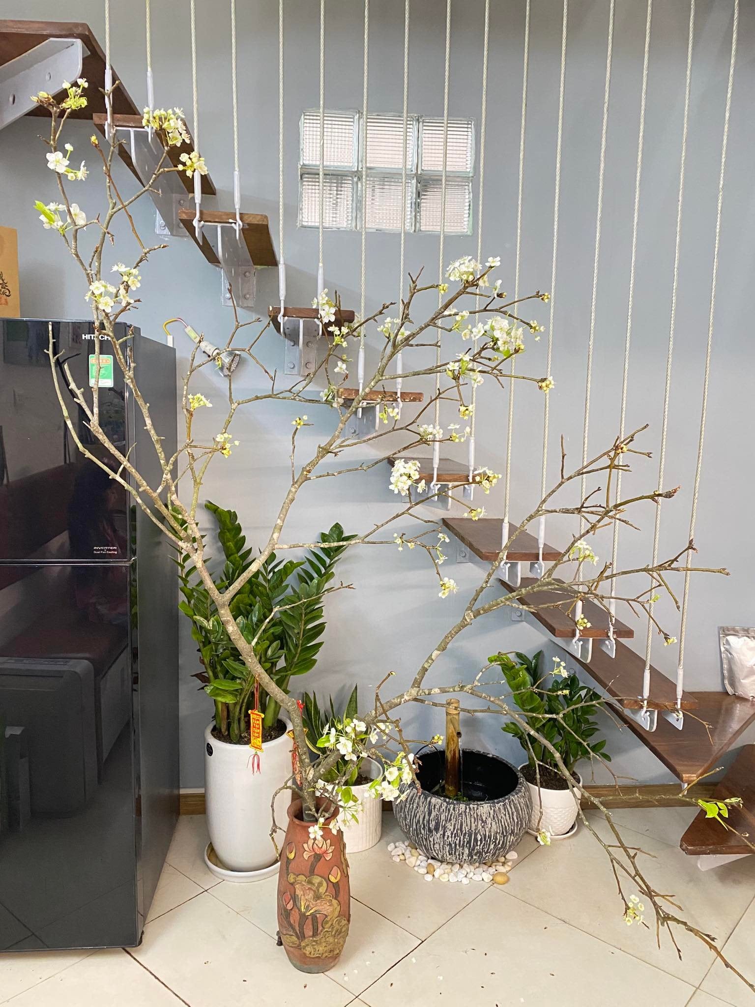 Bán khuôn đất góc 3 MT khu Him Lam đường Lương Định Của, Q.2, 8x16m, TXD 5 tầng, 18 tỷ TL