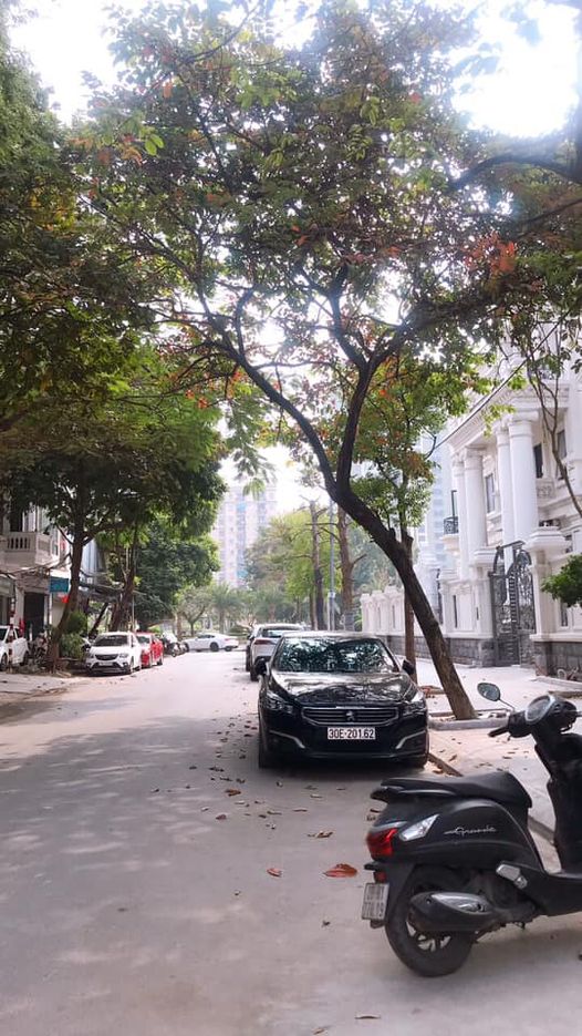 LẠI SIÊU PHẨM HÓT - HÀNG XÓM CỦA KHU BIỆT THỰ LÃO THÀNH CÁCH MẠNG - KINH DOANH VĂN PHÒNG - NGÕ PHÂN LÔ THÔNG - 2 MẶT NGÕ