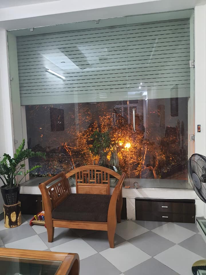 55m2