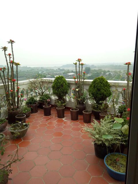 Bán nhà Nguyễn Chí Thanh 70m 6 tầng 12.5 tỷ ô tô tránh vỉa hè KD khu vực dân trí cao